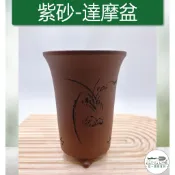 【滿額免運】紫砂盆 達摩盆 中國風 多肉 紫砂花盆 透氣蘭花盆 紫砂花盆 羅漢松花盆 紫砂盆景盆 透氣 古典 綜一園藝