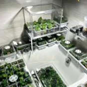 十木屋 免運 可開票 植物悶養箱熱帶植物保溫箱家庭小溫室暖棚陽臺花房育苗箱保濕防雨 快速出貨