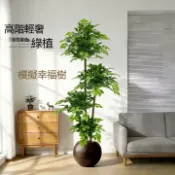 時尚家居 免運 【仿真綠植】可開發票幸福樹仿真綠植 客廳大型盆栽室內輕奢裝飾花仿生植 物落地擺件假樹工廠直銷 全館折扣 售後保障 店長新品推薦 6s91712工廠直銷 全館折扣 售後保障 店長新品推薦 6s91713