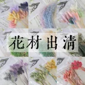 『花藝夢』現貨✅️ 出清專區 花材出清《單份販售》花材禮包 兔尾草 加那利 蓬萊松 水晶花 滿天星