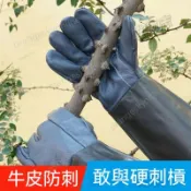台灣熱賣👏牛皮防護防刺手套 扎不透園林修剪玫瑰月季摘花椒刺剝板栗子 專業園林園藝修剪  防紮手套 加固耐用園藝手套 手