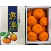 (歪歪賣水果)日本空運 佐賀唐津蜜柑 原裝禮盒