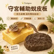 Candy🐾守宮蛻皮板 爬蟲用品 豹紋守宮 脫皮輔助 多孔纖維磨皮板 蜥蜴磨蹭石 肥尾守宮 日常護理 爬箱造景必備
