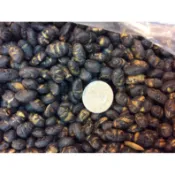 黑豆 青仁熟黑豆 調味黑豆 板橋買黑豆 買調味黑豆 好廖黑豆