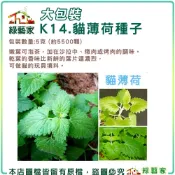 【綠藝家】大包裝K14.貓薄荷種子5克 (約5500顆)(香草種子)