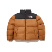 (店+)【The North Face】NJ1DP75E 北面 1996系列 M's Eco Nuptse Jacket 純色休閒運動立領防風羽絨服 冬季 男女