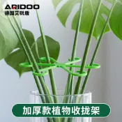 龜背竹支撐杆植物固定神器花架綠植防倒伏春雨支架金錢樹花卉支架臺灣出貨
