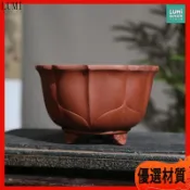 蓮花盆 紫砂花盆 陶瓷盆器 禪意 桌面擺件 粗陶盆 蘭花盆 盆栽 辦公室 園藝 花器 擺飾 古風 多肉花盆 小品盆栽盆器