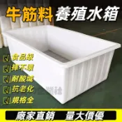 免運費 大號加厚牛筋塑膠水箱 長方形儲水桶水產養殖方桶 養魚賣魚牛筋淺盆 養殖牛筋盆 大水缸方桶 加厚加固 水箱 多功能