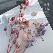 大好屋 台灣現貨 永生蠅子草 精緻小包裝 風鈴花 小風鈴 風鈴 麥仙翁 大地農園 乾燥花插花 花藝 DIY手做 手工花