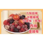 【現貨】小農自製 綜合梅子乾 一包含5種梅子 酸甜開胃