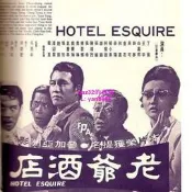 懷舊經典🔥1DVD1971國語【 老爺酒店】甄珍 潘迎紫 柯俊雄    碟機