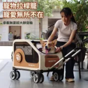 「臺灣熱銷」🔥DODOPET寵物外出拉桿箱 大容量 貓咪狗狗出行旅行箱 貓狗摺疊車載籠 寵物拉桿包