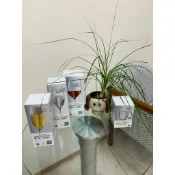 //特價// 7-11 德國蔡司 高級無鉛水晶 玻璃杯（水杯/威士忌杯果汁杯/啤酒杯 汽水杯/香檳杯 紅酒杯/白酒杯）～