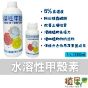 【植居】水溶性甲殼素 水溶性 5%殼聚糖 甲殼素 有機農業 育苗 有機酸 放線菌 線蟲螨類防治 白粉病 抑制壞菌 草莓