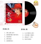 撿漏正版 陳小雲專輯黑膠唱片LP（全新未開封）老式留聲機唱片機家用唱盤機碟。原裝母帶，限量發行，12寸，33轉，180g