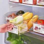 協貿國際日用品生活館 冰箱收納盒保鮮盒食品級冷凍專用廚房整理神器蔬菜水果雞蛋儲物盒