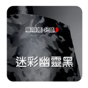膜膜搭❥【 迷彩幽靈黑】 迷彩 幽靈黑 迷彩黑 貼膜 車膜  車貼 貼紙 改色膜 機車貼紙 汽車貼紙 手機包膜