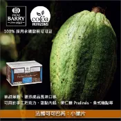 【完美烘焙材料坊】《分裝》法國可可巴芮 Cacao Barry：小脆片