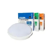 【東亞照明】LED 15W 防水吸頂燈 白光 黃光 自然光 全電壓 附快速接頭 2入組(LED  15W 防水 吸頂燈)
