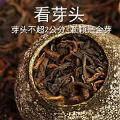 【可開發票】新會小青柑陳皮普洱茶 八月果蜜香小金桔 雲南猛海金芽熟普青橘茶