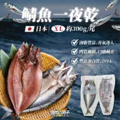 CA075 整尾 XL鯖魚一夜干【賣肉男子】附發票 ／300克／滿額免運／冷凍海鮮／居酒屋／商業合作／台南肉品批發
