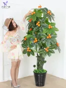 協貿國際日用品生活3館 假樹蘋果樹金桔果樹室內裝飾防真花植物盆栽擺設客廳大型落地綠植