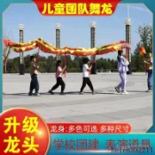 台灣熱賣傳統舞龍兒童舞獅道具整套彩帶幼兒園學校小學生手桿舞龍錶演龍頭