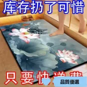 品質優選✨浴室吸水地墊衛生間門口防滑腳墊門墊家用耐髒速乾地毯FHI