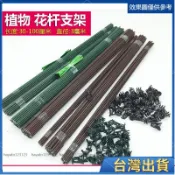 全台出貨🔥免運熱銷 蝴蝶蘭支架園藝盆栽植物鐵支柱花卉固定藤蔓爬藤蘭花金錢樹支撐桿 L
