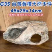【元友】現貨 G35 台灣黃檜 台灣檜木 天然 造景 原木 木件 收藏 擺飾 創作材料 蕨類植物 檜木 黃檜