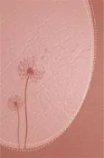 【三民網路書店】Biblia de Promesa «inspira» P. Mujeres/ Letra Grande/Piel Esp/ Oro Rosado Con Indice