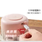 樂拼購🔥豪華雙杯款250ml+100ml 迷你食物料理機 便攜式蒜泥機 便攜電動蒜泥機 電動搗蒜器 攪拌機 萬用調理機