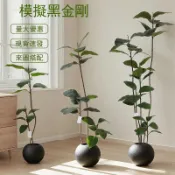 常鴻萬貨行 輕奢風仿真綠植黑金剛橡皮樹大型客廳陽台落地裝飾擺件假植物造景