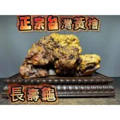 【阿一藝品】 正宗台灣黃檜 原木擺件【長壽龜】樹瘤 山材 檸檬香 閃花 倒閣料 釘瘤 重油 原木瘤花 開運收藏 招財擺件