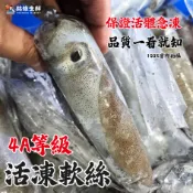 【銘雄生鮮】4A級活凍軟絲 冷凍軟絲 軟刺仔 軟絲仔 活體冷凍 活凍軟體 透抽 中卷 小卷 船上急凍 熱炒 章魚