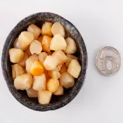 【華得水產】珠貝 大顆珠貝 (150g 300g 600g) 煮雞湯 肉粽【冷凍保存】