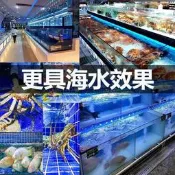 海鮮魚缸魚池專用LED水產魚蝦燈管照明燈藍色led220防水新款