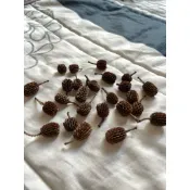 各類乾燥果實/木麻黃/相思豆/月桃/楓香樹/肉桂/大花紫薇/木鱉果/乾燥檸檬片