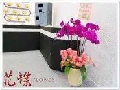蝴蝶蘭花組合盆栽鴻圖大展.參展.會場.展出成功祝賀訂單滿載
