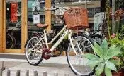 愛爾蘭 IRLAND 24吋 6段變速 低跨 淑女車 牛奶車