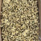 【原廠品質驗證】【原廠品質驗證】徽五弟剛剛產新黃山白菊花黃山菊花茶原產地多品源頭大貨批發荷葉