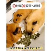 「🎀靜媽幸福小舖🎀」實拍照［⭕100%純草❌穀類ㄟ健康草粒］提摩西草 苜蓿草 燕麥草 百慕達   天竺鼠/兔子/龍貓