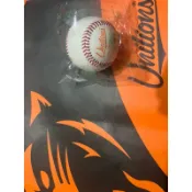 cpbl 統一獅 練習用球 陳傑憲 林安可 蘇智傑 簽名 最佳使用（現貨）