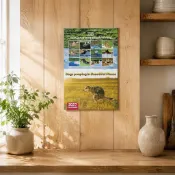 洛陽牡丹 2027年狗狗大便日曆 創意狗狗拉屎Dogs Pooping Calendar