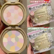 舔手指日本小舖 【預購】CANMAKE 棉花糖蜜粉餅 彈力定妝 抗UV SPF19++ 日本直送