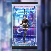 【新品快報】搶先買APEX-TOYS 碧藍航線 花園 聯動插畫 展示盒