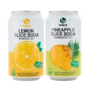 【蝦皮直營】韓國 FRUIT B 真的氣泡飲 340ml/罐 檸檬/鳳梨 氣泡水 飲料 水果 汽水