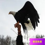 🔥臺灣出貨🔥 仿真老鷹鳶模型 園林擺件 影視拍攝道具 鷲動物鵰羽毛灰丹鵟 大展宏圖老鷹 景觀大堂家居裝飾品 仿真