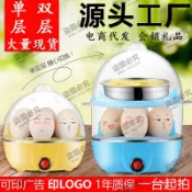 迷你煮蛋器家用不銹鋼蒸蛋器 雙層 煮蛋神器蒸鷄蛋小型早餐機跨境 DGJH